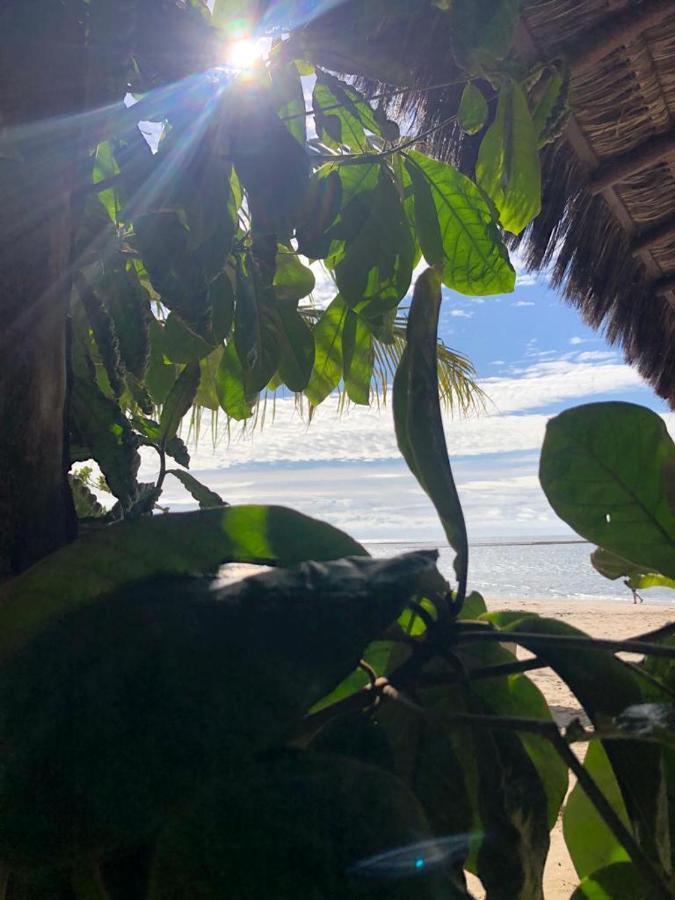 Apartamento Inteiro Com Piscina - 17 Leilighet Porto Seguro Eksteriør bilde